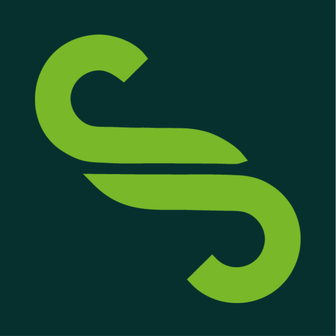 Icon 2